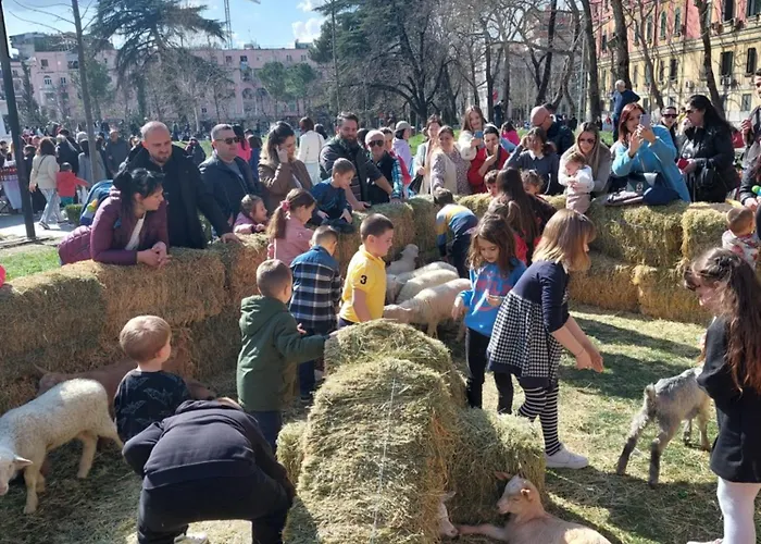 Next To Blloku Lovely Apartment-comodissimo Centro アパート ティラナ