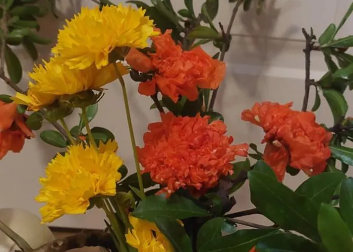 Next To Blloku Lovely Apartment-comodissimo Centro アパート *